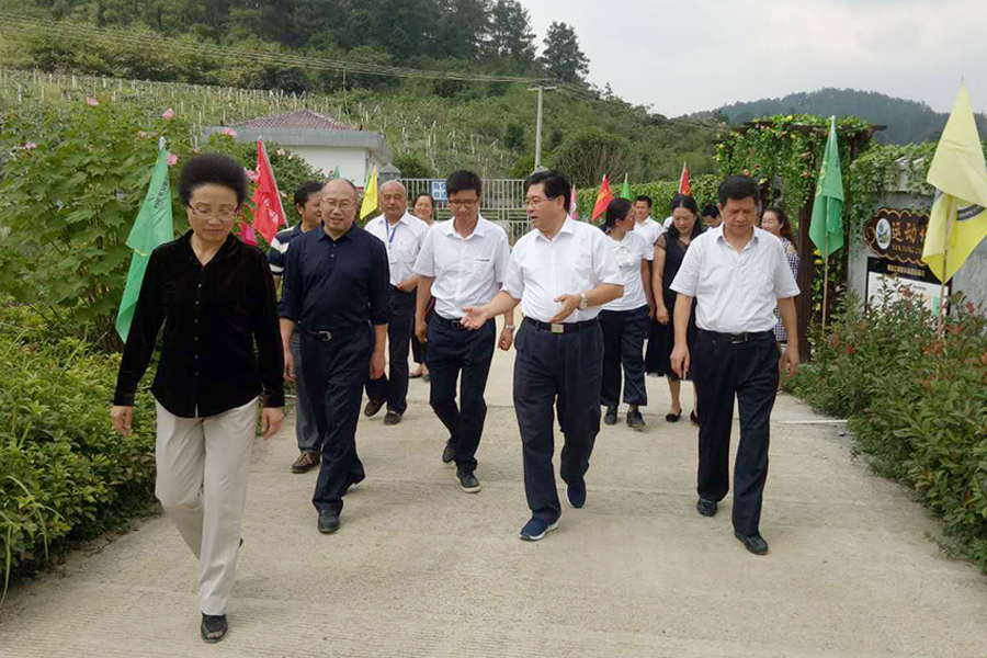 參觀交流.jpg 參觀交流.jpg