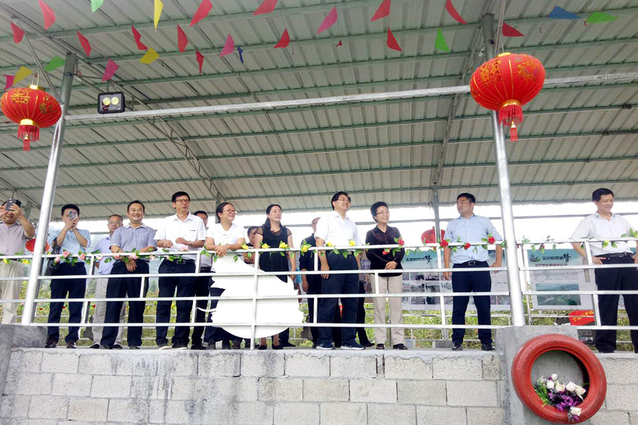 賽豬會.jpg 賽豬會.jpg